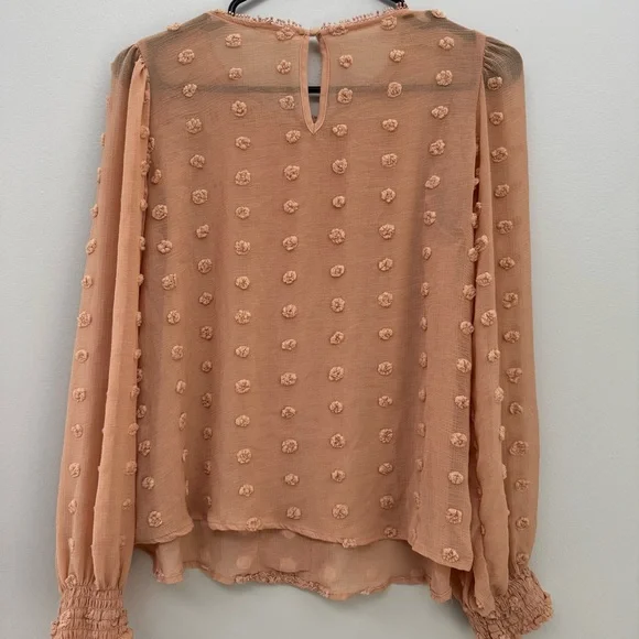 Blu Pepper Anthropologie chiffon crochet flowy boho top salmon neutral sheer - Picture 2 of 7